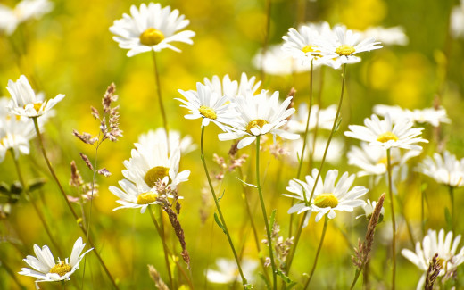 949554 (a): :2880x1800